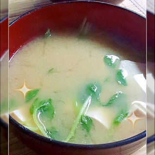 簡単！豆苗と豆腐の味噌汁♪